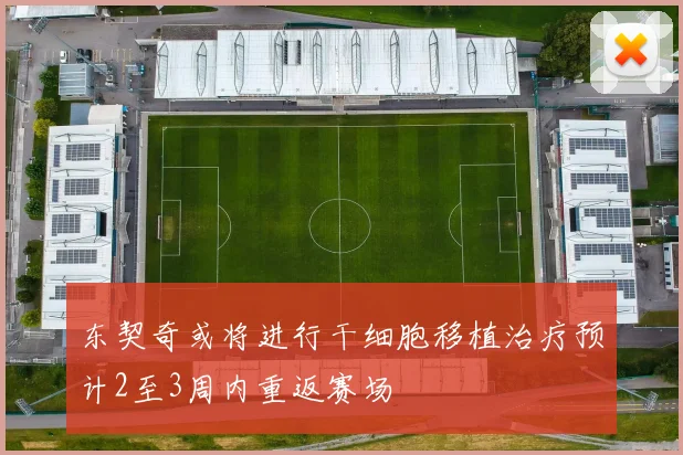 东契奇或将进行干细胞移植治疗预计2至3周内重返赛场