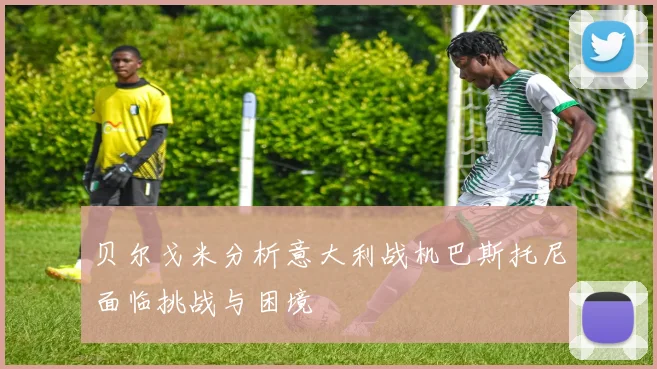贝尔戈米分析意大利战机巴斯托尼面临挑战与困境